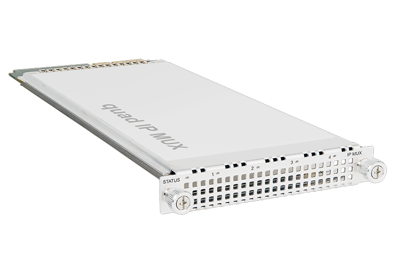 Multiplexor IP